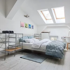 https://lion-apartment-krakow.krakowhotelspoland.com